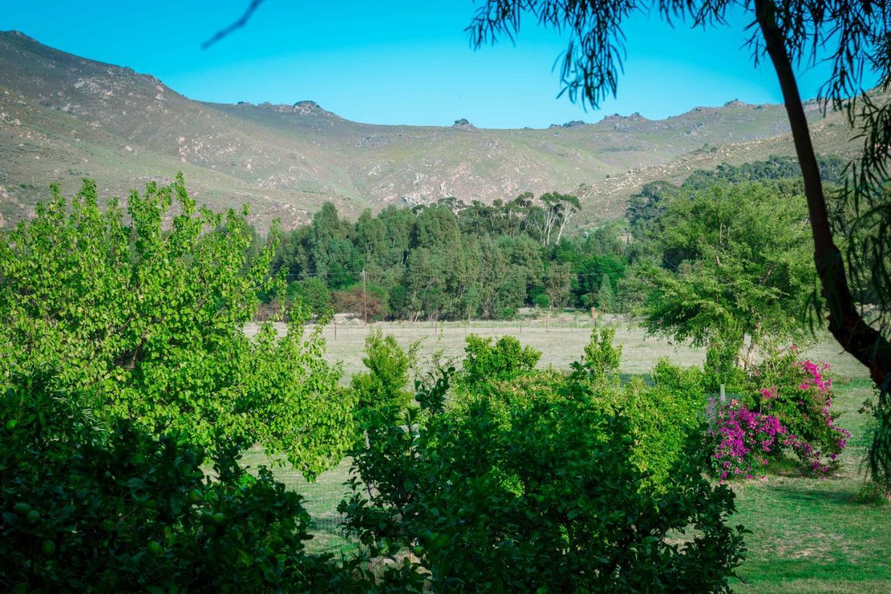 Le Reve Boutique Hotel Tulbagh Exterior photo